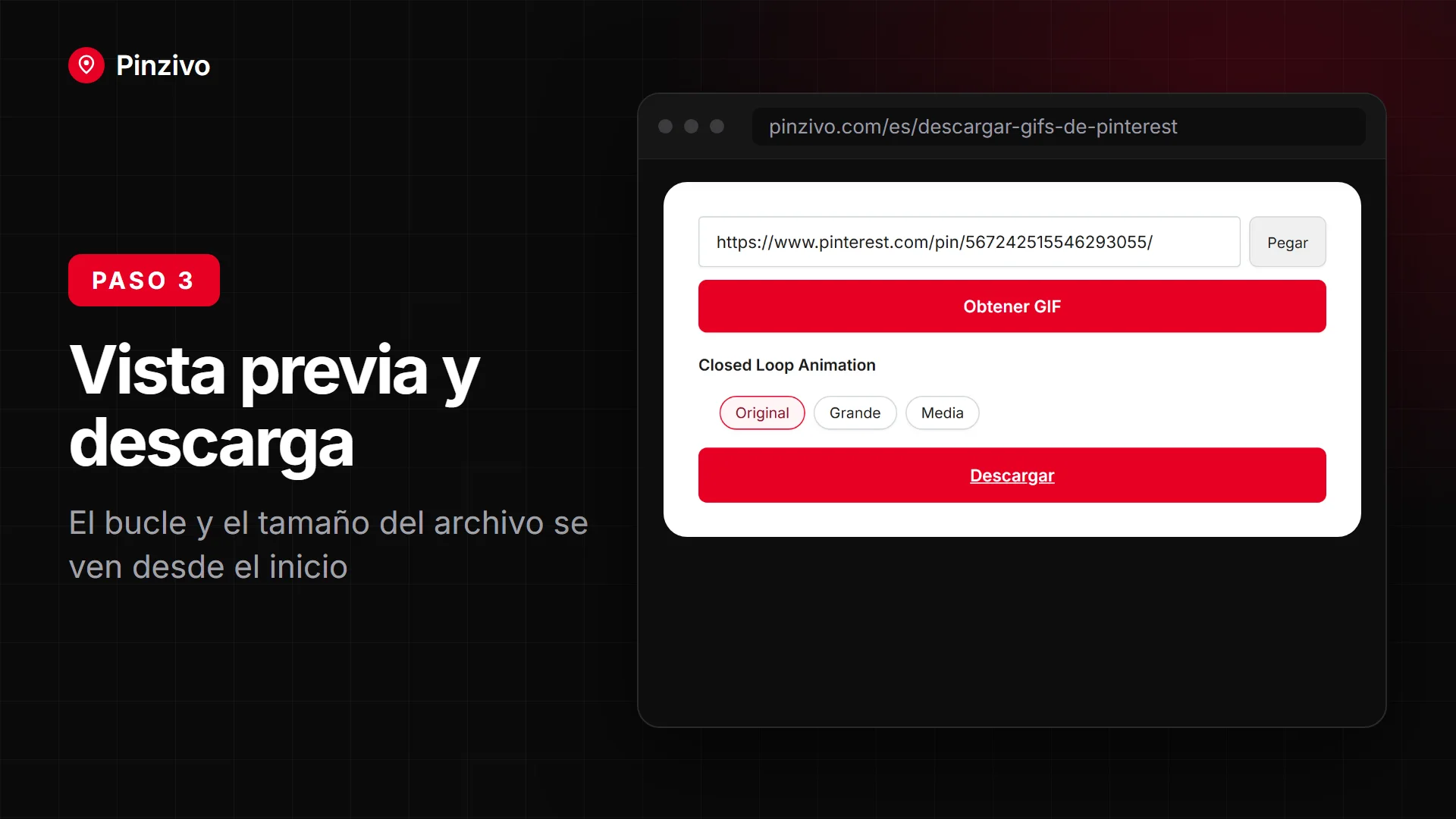 Vista previa y descarga de un GIF de Pinterest con el tamaño del archivo visible