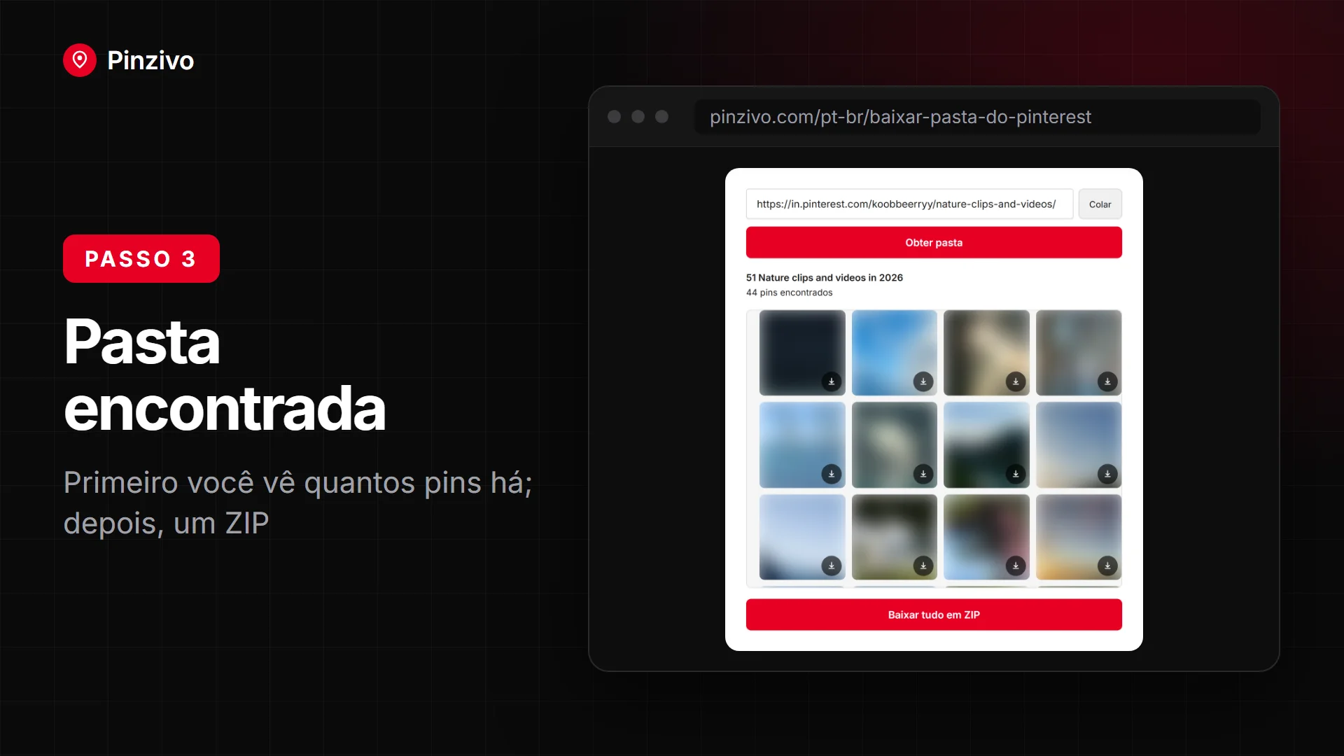 No computador, o Pinterest Downloader encontra uma pasta e mostra quantos pins ela tem